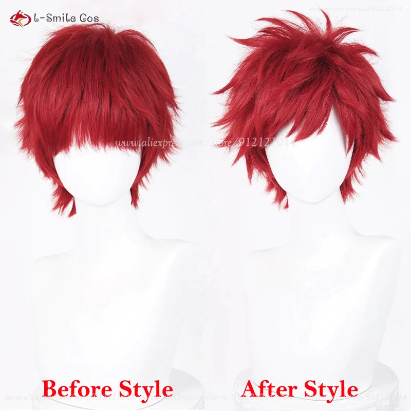 Anime Cosplay Red Hair - Anime Reinhard Van Astrea Cosplay 30