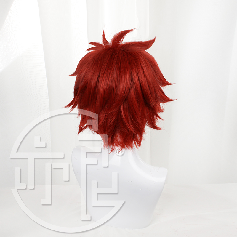 Anime SK8 the Infinity Reki Pa - Anime Cosplay Red Hair recensione e prezzo