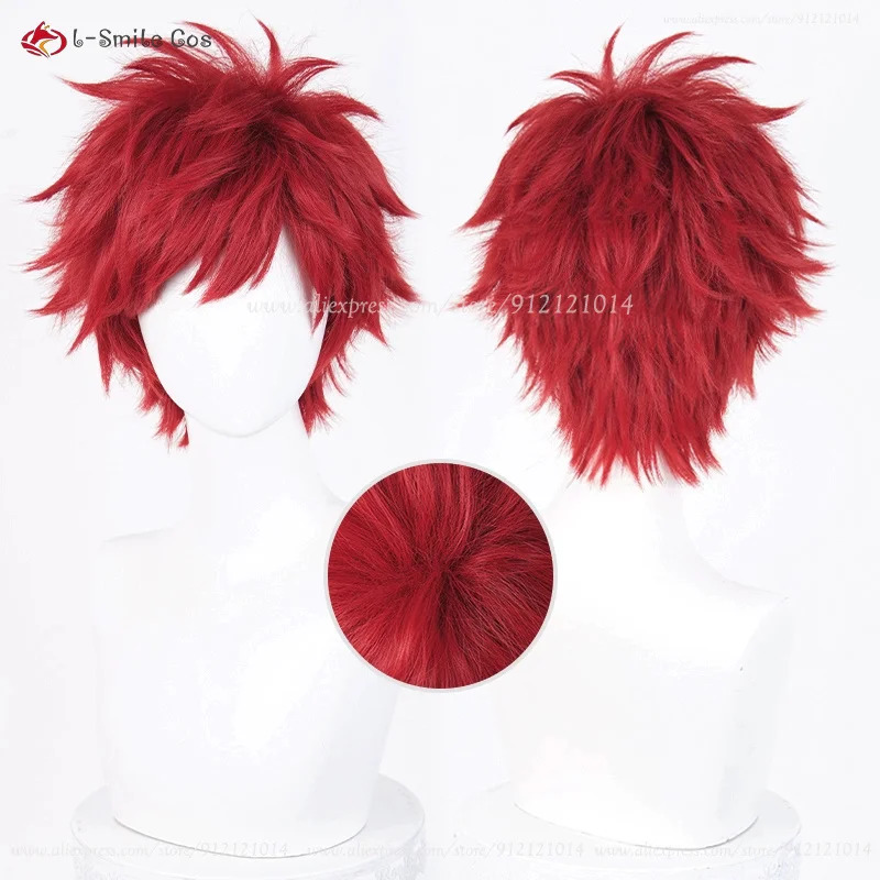Anime Reinhard Van Astrea Cosp - Anime Cosplay Red Hair recensione e prezzo
