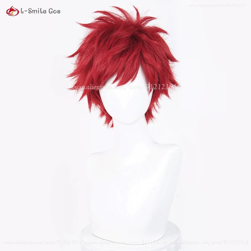 Anime Reinhard Van Astrea Cosp - Anime Cosplay Red Hair recensione e prezzo