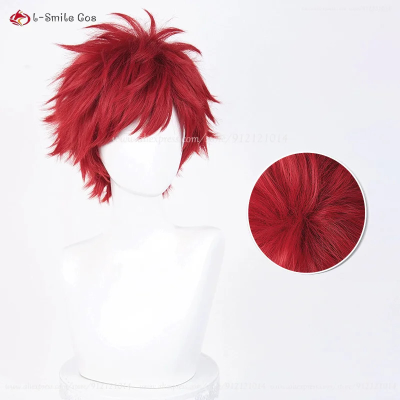 Anime Reinhard Van Astrea Cosp - Anime Cosplay Red Hair recensione e prezzo